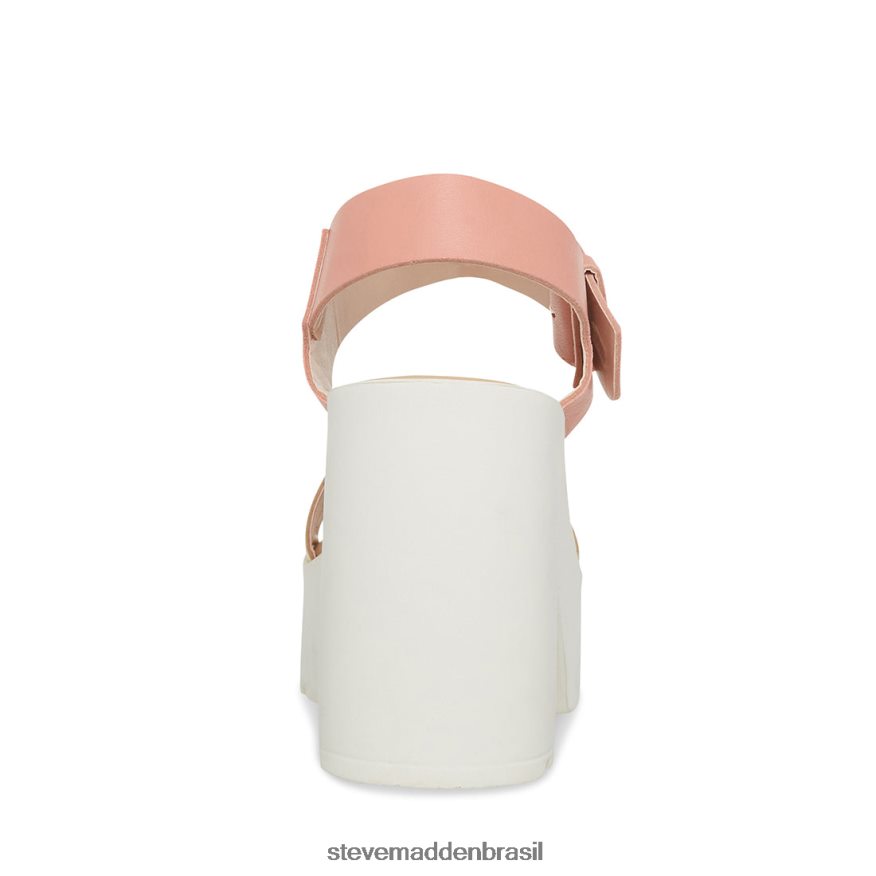 calçados blush multi mulheres Steve Madden vesta ZTFPZH70