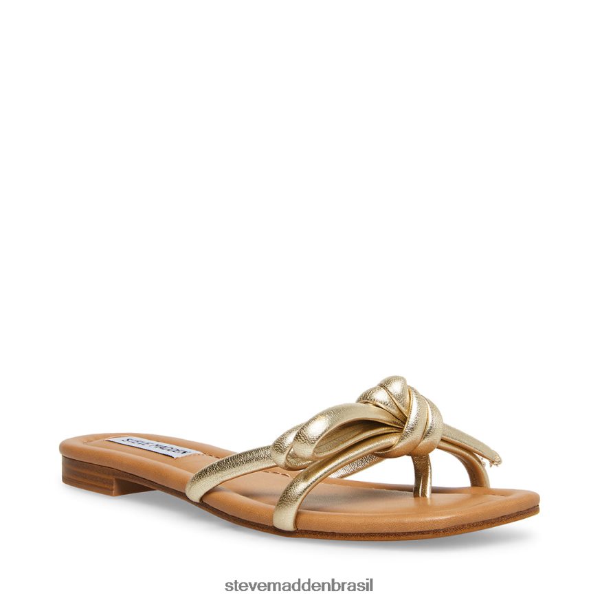 calçados ouro mulheres Steve Madden maura ZTFPZH26