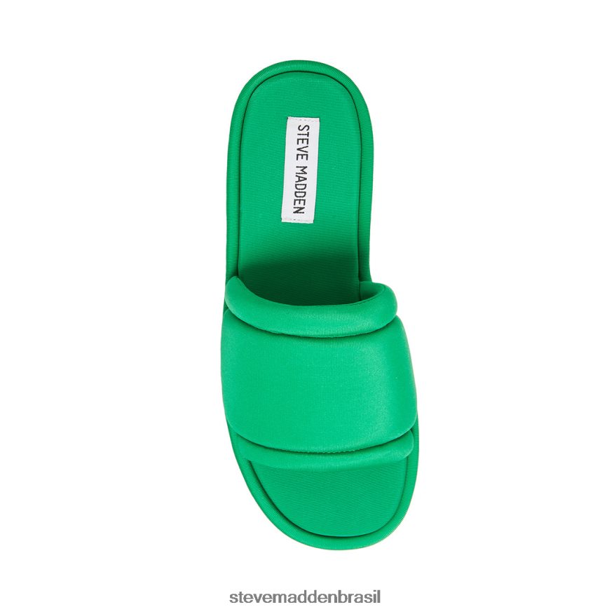 calçados verde mulheres Steve Madden coragem ZTFPZH114