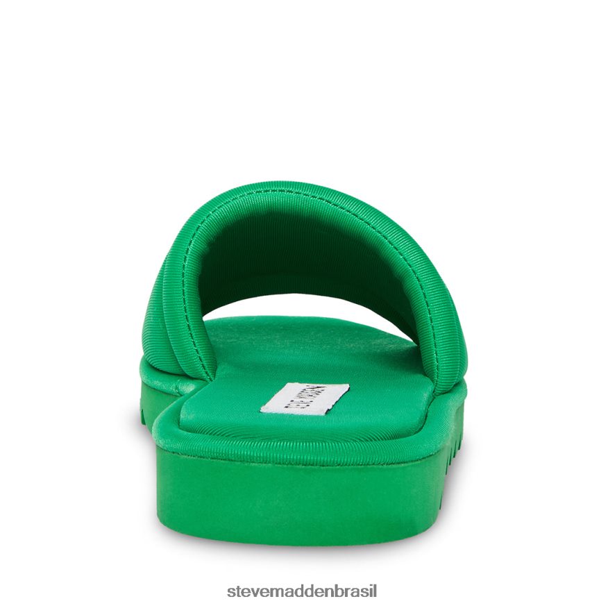 calçados verde mulheres Steve Madden coragem ZTFPZH114