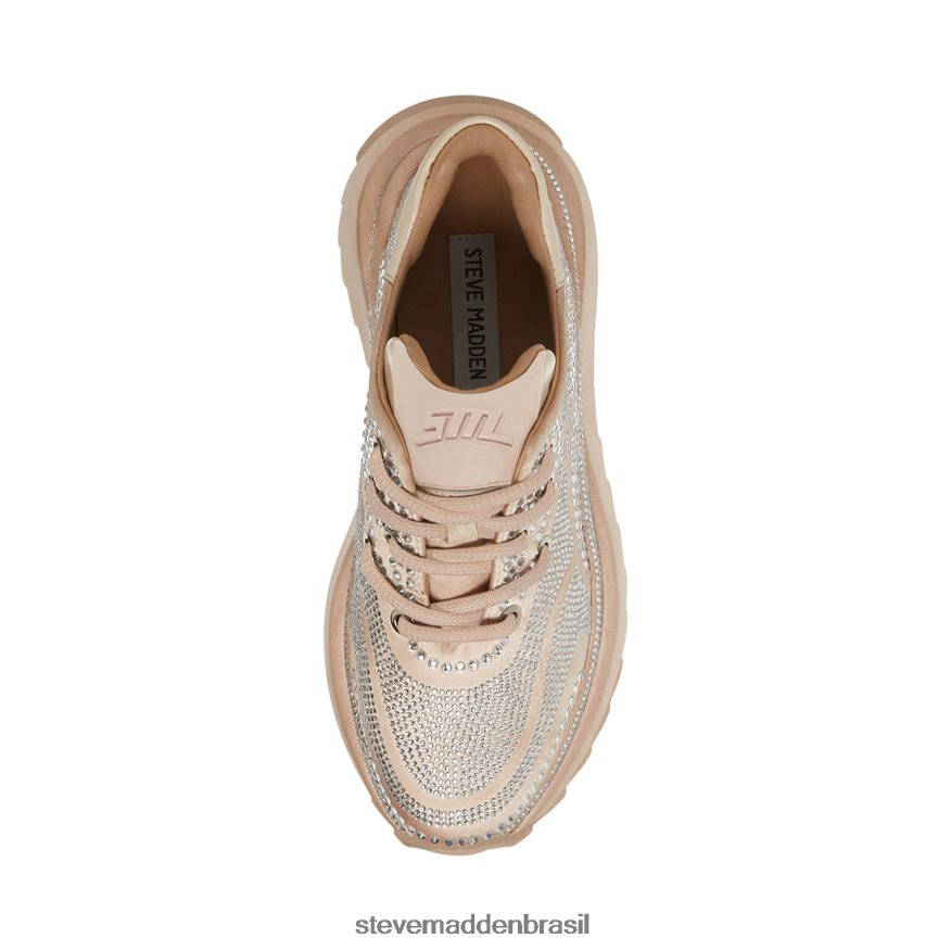 calçados corar mulheres Steve Madden Zeta ZTFPZH338