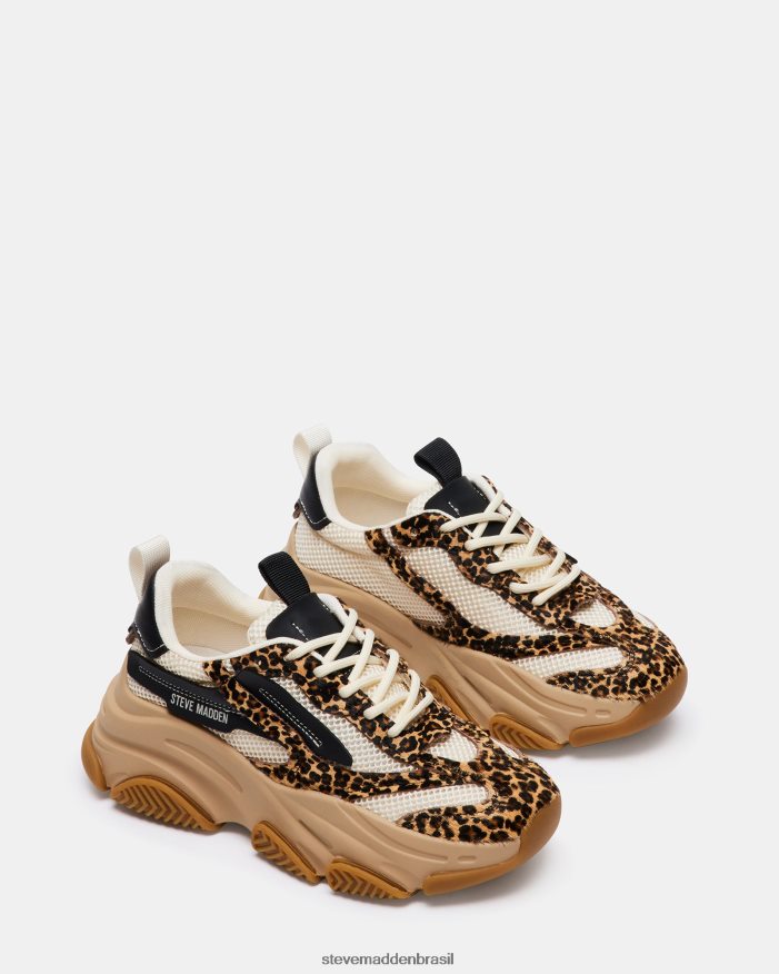 calçados leopardo multi mulheres Steve Madden posse ZTFPZH252