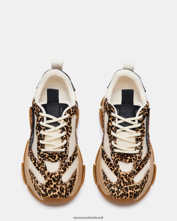 calçados leopardo multi mulheres Steve Madden posse ZTFPZH252